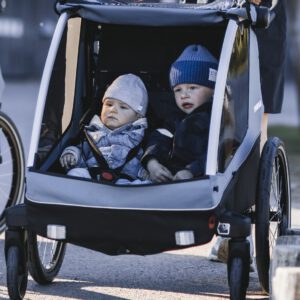 Thule Courier - Fahrradanhänger (Kind, Hund, Lasten)